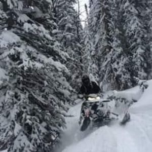 Meet your Posher, Rob